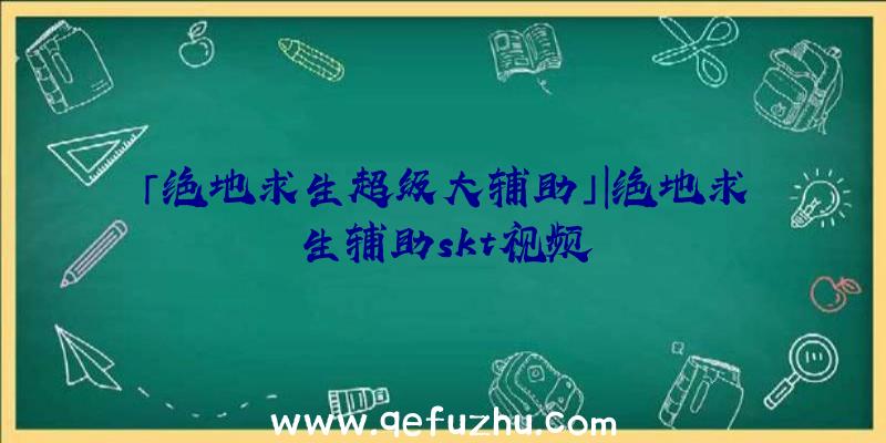 「绝地求生超级大辅助」|绝地求生辅助skt视频